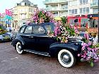 Jardin de Keukenhof  - 