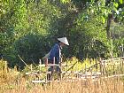 Nord du Laos - 