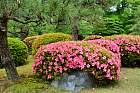 Kyoto - Jardin Seiryu-en