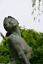 Kyoto - Jardin botanique