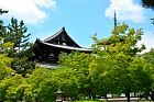 Nara - Horyu-ji