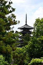 Nara - Horyu-ji
