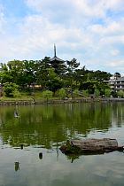 Nara - Pagode  cinq tages, goju-no-to