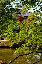 Nara - tang du Miroir