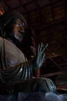 Nara - Le Daibutsu (Grand Bouddha)