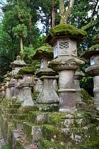 Nara - Kasuga-taisha