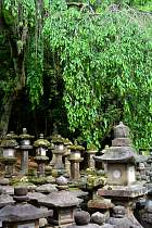 Nara - Kasuga-taisha