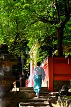 Nara - Kasuga-taisha