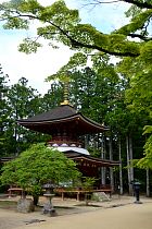 Koyasan - Le Danjōgaran Tōtō, pagode de l'est 