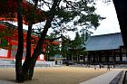 Koyasan - Konpon Daitō