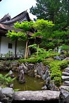 Koyasan - Rengejo-in Ryokan