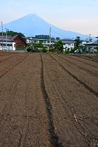 Mont Fuji - Fujikawaguchiko