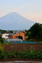 Mont Fuji - Fujikawaguchiko