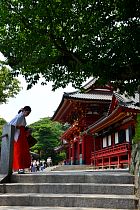 Kamakura - Tsurugaoka Hachiman-gū