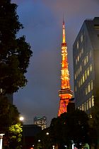 Tokyo - Tour de Tokyo