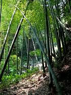 Kamakura - Temple Jyochi