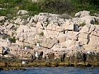 Archipel de Kornati - 