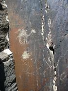 Le Kyzyl Koum - Gravure rupestre