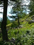 Col de Larche - Col de la Lombarde, 2350m