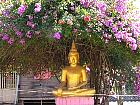 Luang Prabang - 