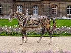 Jardin du Luxembourg - Cheval, Heather Jansch