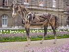 Jardin du Luxembourg - Cheval, Heather Jansch