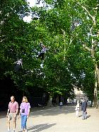 Exposition au jardin du Luxemborg - 