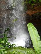 Montagne d'Ambre - Cascade  Antakarana