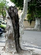 Pernes, Malaucène, Vaison - 