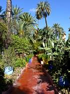 Marrakech - Jardin de Majorelle