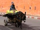 Marrakech - 