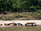 Descente du Mékong de Houay Say à Pakbeng - 