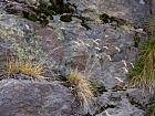 Vallée des Merveilles - 