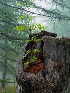 Vallée des Merveilles - 