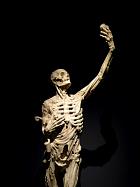 Metz, centre Pompidou - Le Squelette, statue du tombeau de Ren de Chalon (vers 1550)