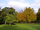 Parc Monceau (Paris) - Magnolias, noyers d'Amérique