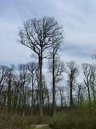 Notre-Dame de Montligeon - Fort de Reno-Valdieu