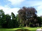 Nancy - Parc de la Ppinire