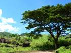 Negros sud - Route des Twin lakes