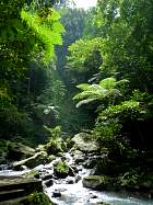 Negros sud - Chutes de Casaroro