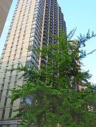 New-York - 49e rue&8� Avenue