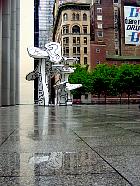 New-York - Groupe de quatre arbres