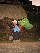 Village Hmong - 