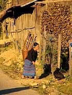Village Hmong - 