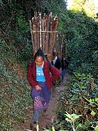 Village Hmong - 