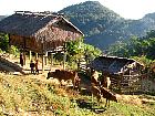 Village Hmong - 