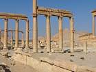 Palmyre - 