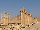 Palmyre - Grande colonnade