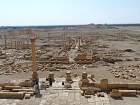 Palmyre - Temple des enseignes