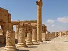 Palmyre - Agora
